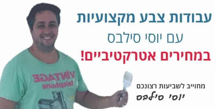 עבודות צבע בסילבס צבעים